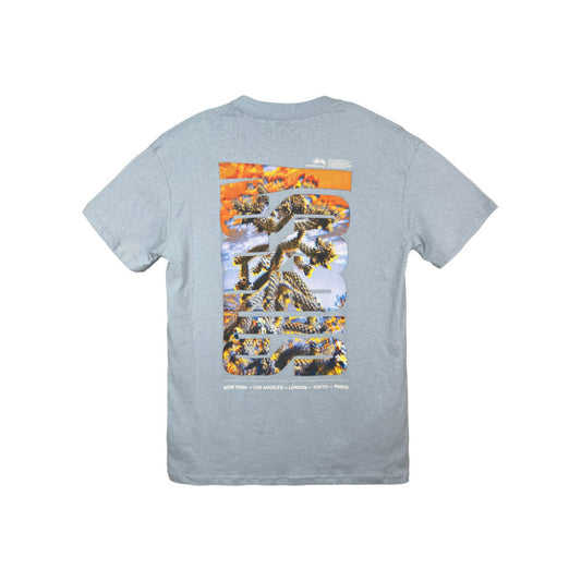 Stussy Desert Sky Tee Light Blue