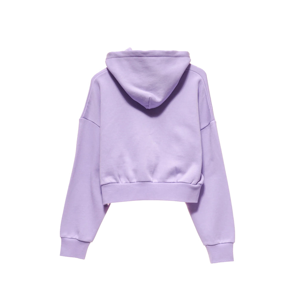 Stussy Globe Hoodie Lavender